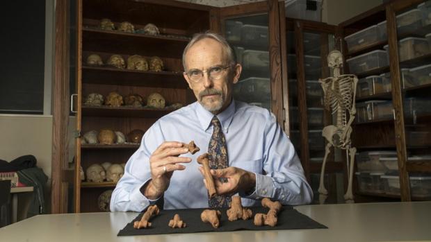 John Kappelman, con recreaciones 3D del esqueleto de «Lucy»