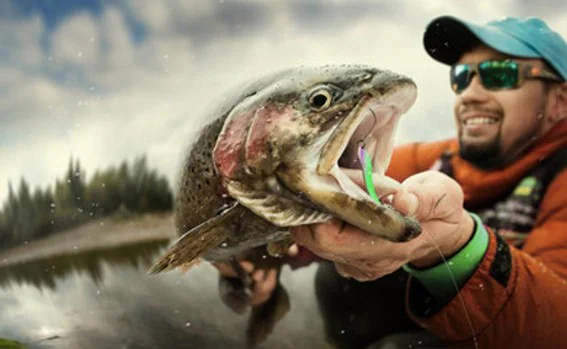 Resultado de imagen para peces dolor