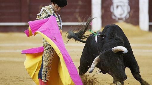 José Tomás in the Malagueta bullring