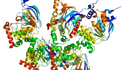 Representación de la estructura de la proteína CFTR, cuyos defectos causan la fibrosis quística
