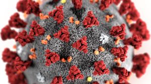 Los expertos creen que el coronavirus ha llegado para quedarse