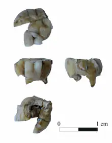 https://static3.abc.es/media/ciencia/2020/05/20/232087-k8MC-U407408808417QH-220x280@abc.jpg