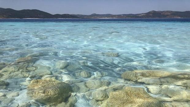 Rocas en el lago Salda en Turquía, formadas por microbios que atrapan minerales y sedimentos en el agua. El estudio de estos antiguos fósiles microbianos en la Tierra ayuda a los científicos de Mars 2020 a prepararse para su misión