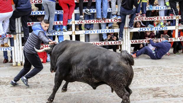 Carnaval del Toro en Ciudad Rodrigo
