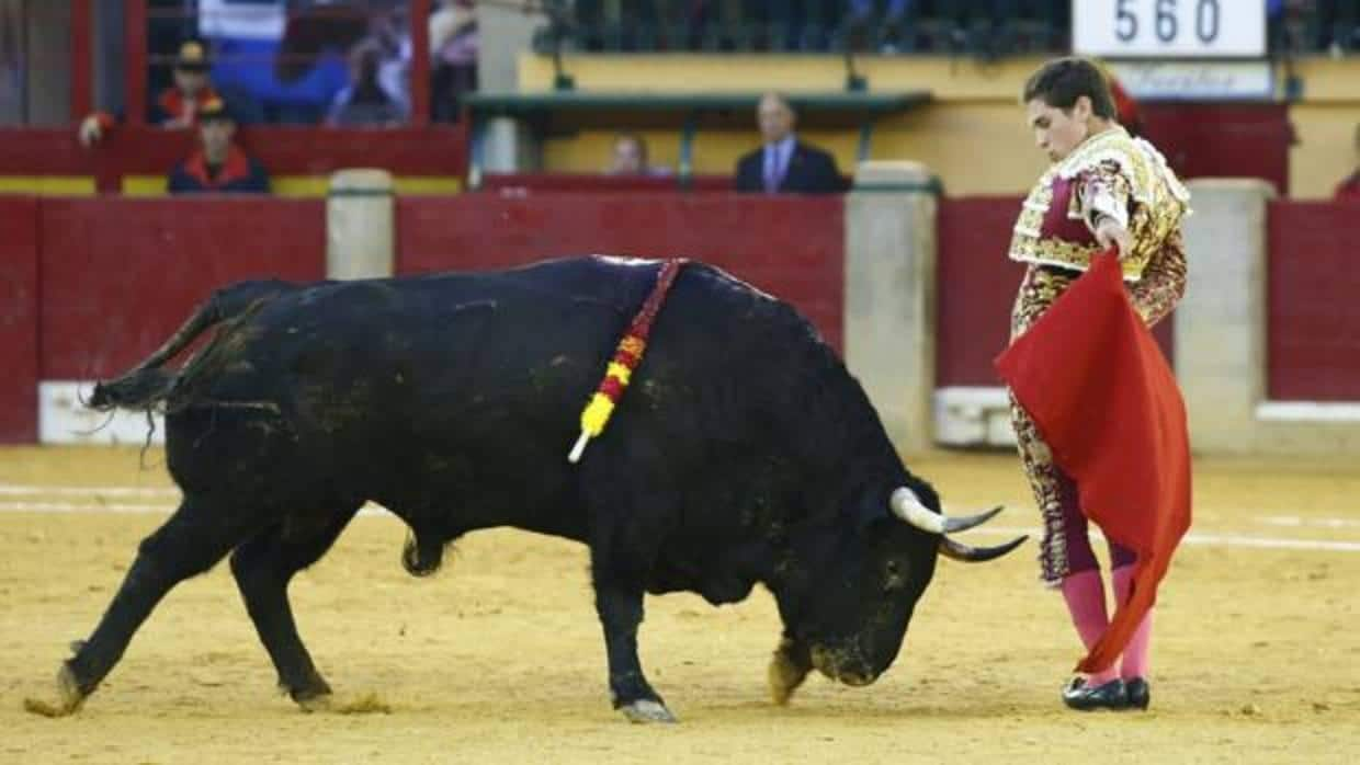 Aragón Rechaza La Propuesta De Podemos De Prohibir La Entrada De Los ...