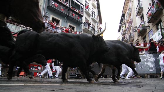 Encierro matinal