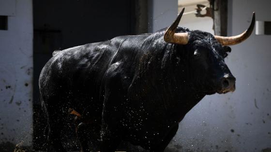 Chopera Toros