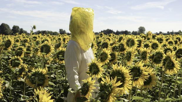 «Gelbe Musik with Sunflowers» (2016), obra de Elina Brotherus de #la serie «Retratos»