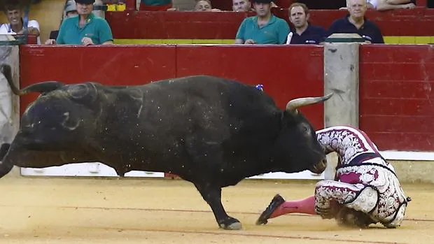 Mariano de la Viña, en un momento del terrible percance