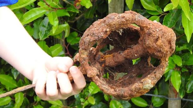 Fionntan Hughes sosteniendo la espada en su jardín