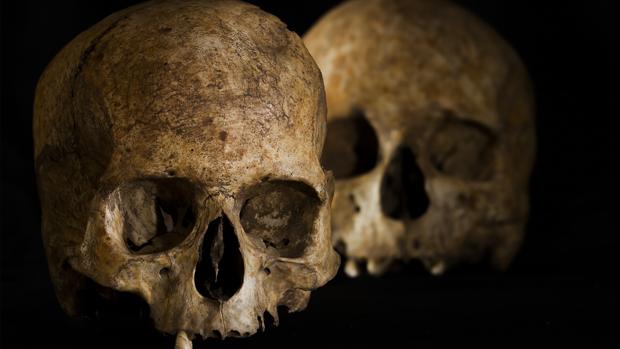 Los dos cráneos encontrados en la cueva de La Dehesilla