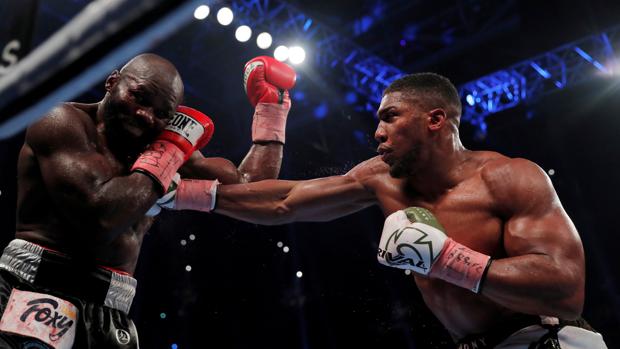 Anthony Joshua impacta una derecha sobre Carlos Takam