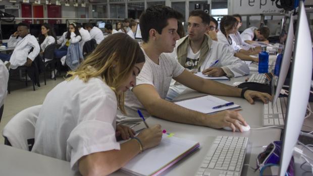 En 2018, un 42,26% de las ofertas de trabajo publicadas incluía entre sus requisitos contar con una titulación de Formación Profesional