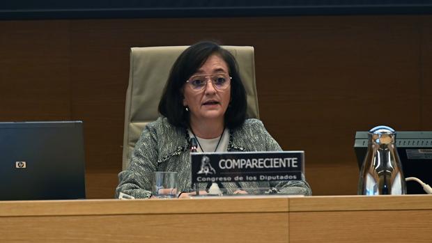 herreroairefcongreso-k7MD--620x349@abc.jpg