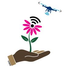 El sector agr&iacute;cola planta la semilla de la digitalizaci&oacute;n