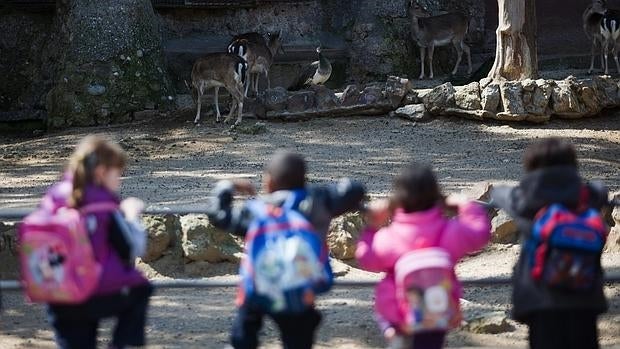 Entidades naturalistas y animalistas critican la práctica del «culling» o eliminación de animales de una población mediante un sacrificio humanitario