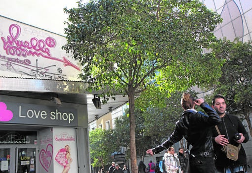 La firma que el difunto grafitero Juan Carlos Argü ello estampó en una medianera de la calle de la Montera hace tres décadas, fue restaurada semanas atrás