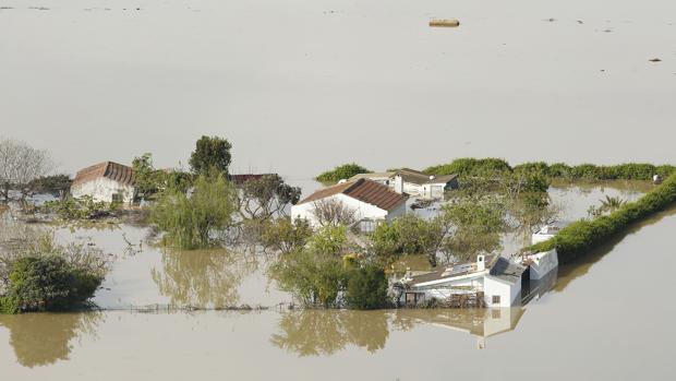 Las aguas desbordadas del Ebro han anegado unas 20.000 hectáreas a su paso por Aragón
