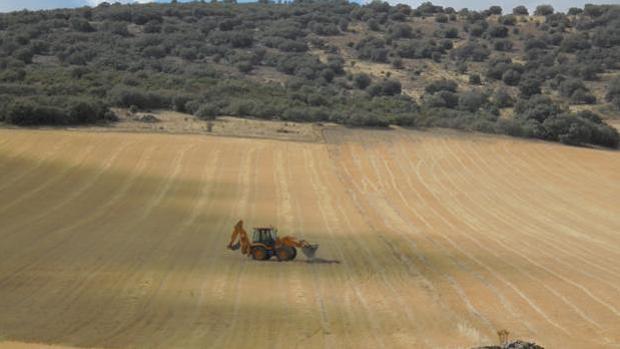 Uno de los campos entre Torrenueva y Torre de Juan Abad donde estaban proyectadas las tierras raras