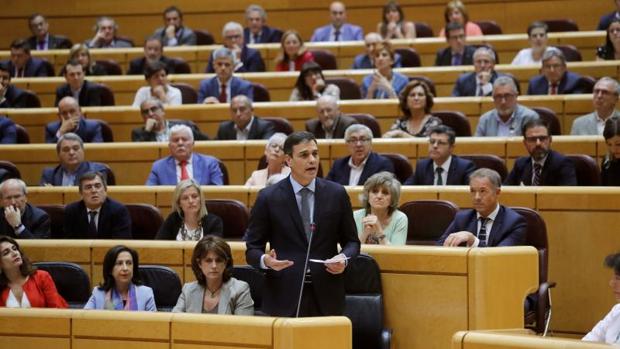 Pedro Sánchez, en el Senado
