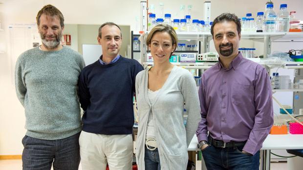 El equipo de doctores que ha realizado el novedoso estudio