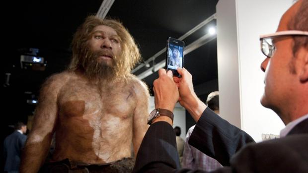 Exposición en el Museo de la Evolución Humana de Burgos