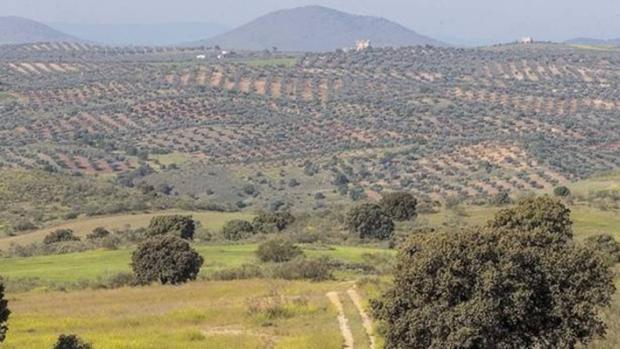 Finca Zurraquín, lugar donde se instalará el parque temático Puy Du Fou