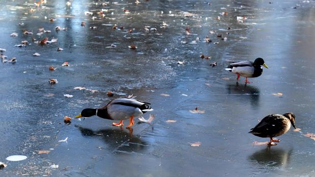 Salamanca y Valladolid, entre las provincias con alerta de frío este viernes