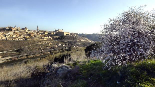 Almendro en flor en el Valle, con Toledo al fondo