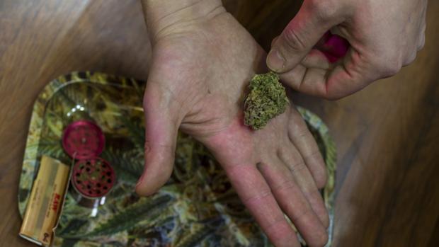 Cogollo de marihuana