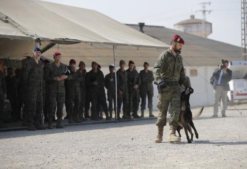 El Rey observa el ejercicio militar en Bétera, realizado este jueves