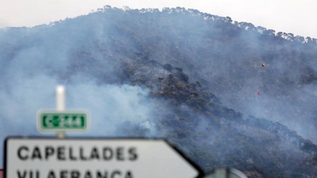 Imagen del incendio forestal que se ha declarado esta tarde en Capellades (Barcelona)