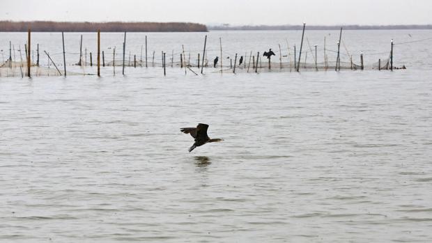 La Albufera de Valencia