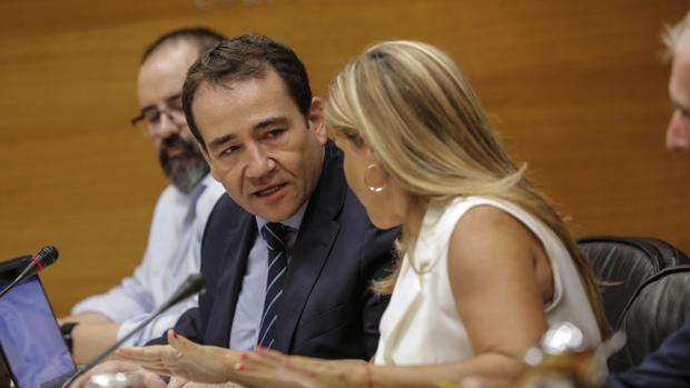 El director de IVF, Manuel Illueca durante su comparecencia en Les Corts
