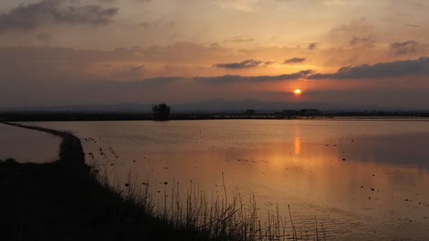 Imagen de archivo de un atardecer desde los arrozales de La Albufera