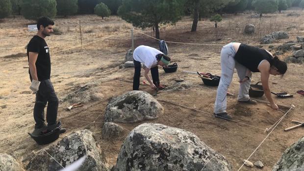 División en cuadrículas de la zona en la que se está excavando