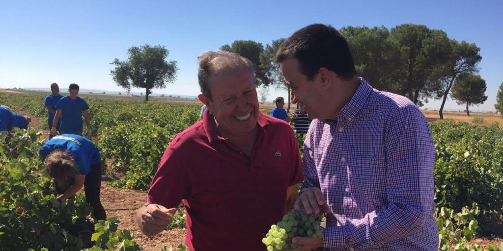 El consejero de Agricultura prevé una vendimia mucho menor que en 2018