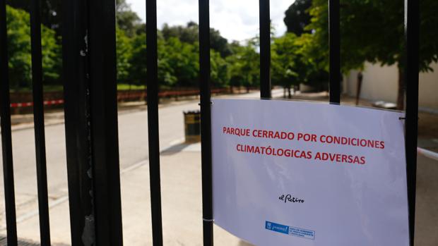 Alerta roja en Madrid por el fuerte viento: El Retiro permanecerá cerrado durante este viernes