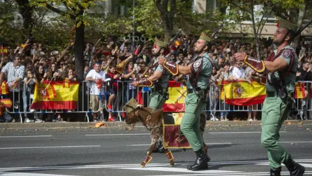 Desfile del año pasado