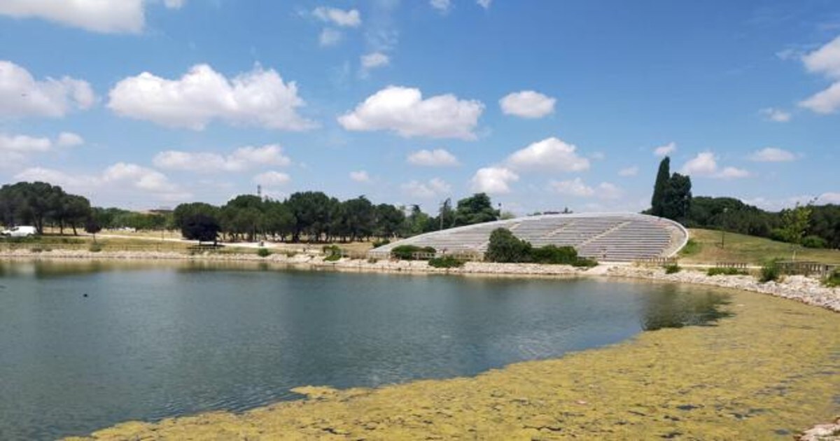 Hallan El Cadaver De Un Hombre De 40 Anos En El Lago Del Parque De Las Cruces