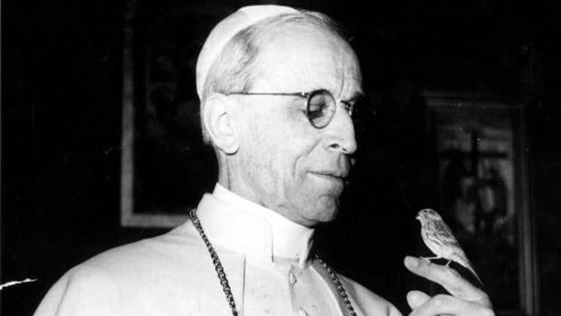 El Papa mirando un pájaro, que sostiene en la mano.