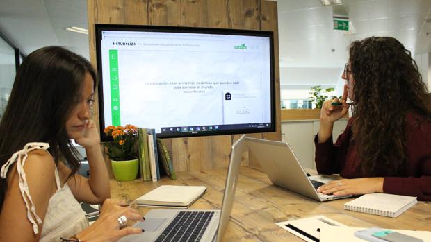 Los profesores cuentan con múltiples recursos on line para aplicar de manera transversal cuestiones ambientales
