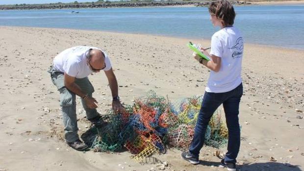 Limpieza de basura marina con la Asociación Chelonia