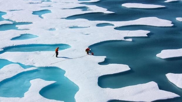 salvar el hielo marino del Ártico