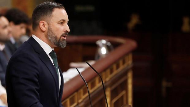 Santiago Abascal, durante su intervención en el Congreso de los Diputados