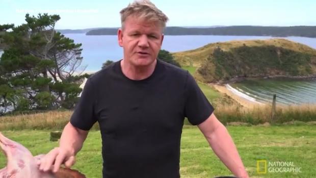Gordon Ramsay, con la cabra en «Gordon Ramsay: Fuera de carta»