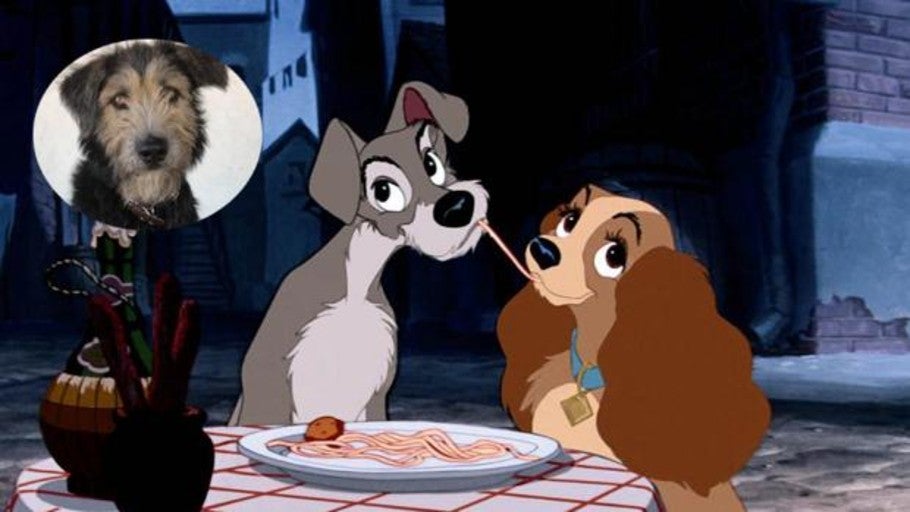 Como Se Llama El Creador De Walt Disney