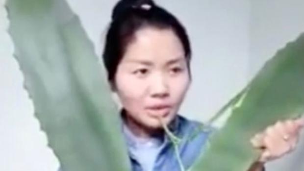 Zhang