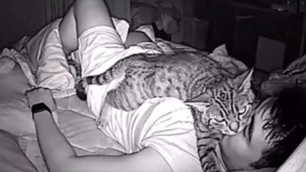 Imágenes de Lomphonten y su gato Archie