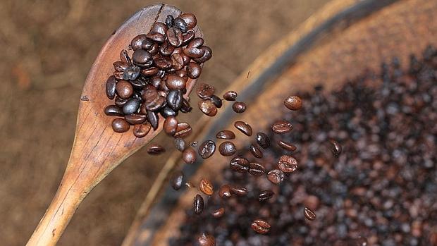Granos de café